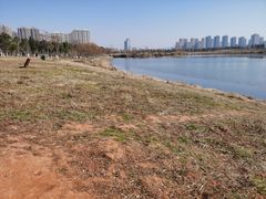 -洋湖国家湿地公园
