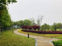 -苏州金鸡湖大酒店