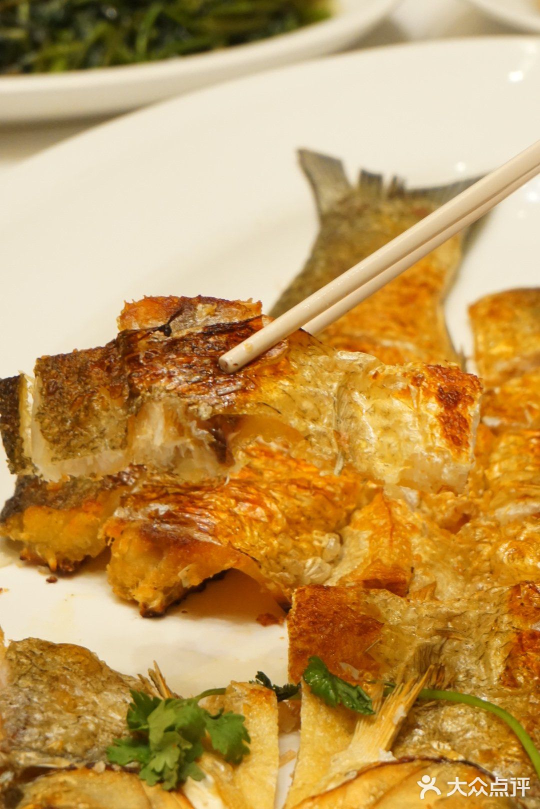 长沙美食♨️鱼鲜‼️❗饭怕鱼🐟🐟