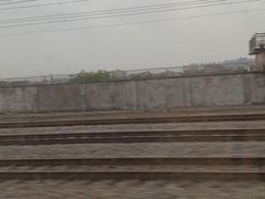 -茶理宜世(东方宝泰店)