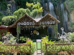 -西双版纳原始森林公园