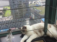 -零纪元VR体验馆·桌游(黄浦店)