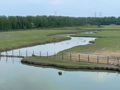 -溱湖国家湿地公园