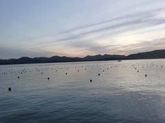 -杭州君悦酒店·青莳