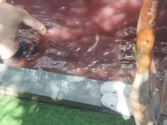 -泉眼温泉