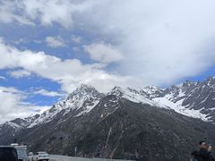 -金鼎雪山牦牛杂火锅(理县总店)