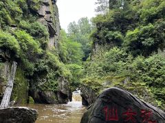 -茅兰沟国家森林公园