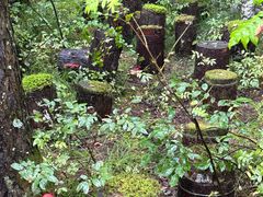 -峡谷浮石林景区