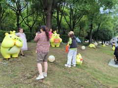 -南翔镇银翔湖公园