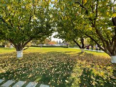 -春晖园度假酒店温泉