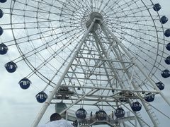 -秦皇岛乐岛海洋王国