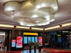 -郑州新郑国际机场T2航站楼-贵宾厅B区