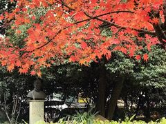 -南京市中医院-体检中心