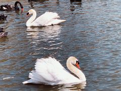 -新疆天山野生动物园