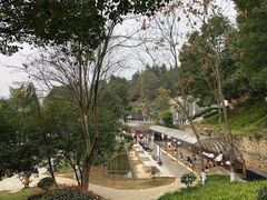 -三江森林温泉度假区