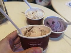-哈根达斯(国瑞店)