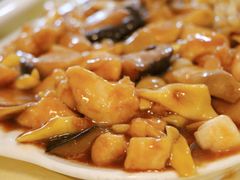 八珍豆腐-奥华餐厅·老张记(台基厂店)