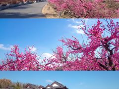 -威海华夏城景区