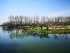 -溱湖国家湿地公园