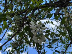 -鹫峰国家森林公园