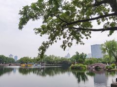 -月湖公园