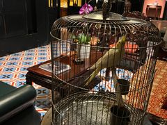 -翠园十八号庭院餐厅