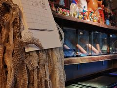 -抱暴龙爬宠·异宠·撸宠撸爬主题馆(大学路店)