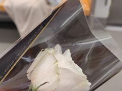 -堂堂小伙夫·辽宁小吃大排档(京西大悦城店)