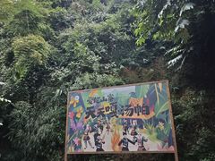 -西双版纳原始森林公园