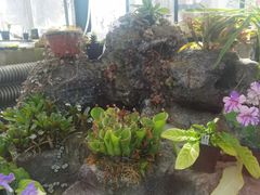 -国家植物园南园