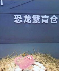 -恐龙探索乐园(磁器口店)