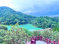 -广州白江湖森林公园