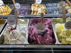 云南夏黑葡萄-Dal Cuore 达可芮冰淇淋(陕西北路店)