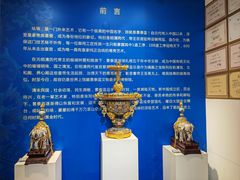 -瑞象国艺馆