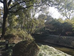 -上海方塔园