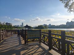 -南宁南湖公园