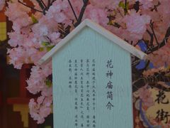 -茶马花街(城西银泰城店)