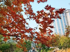 -北京明城墙遗址公园