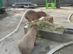 -成都欢乐谷