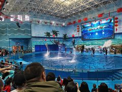 -多彩贵州城极地海洋世界