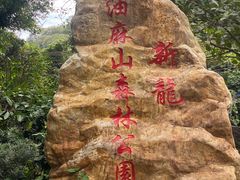 -黄埔油麻山森林公园