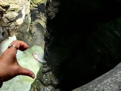 -蝶舞清江·恩施地心谷景区