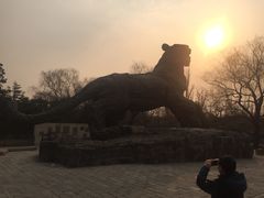 -北京动物园