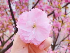 -西北湖绿化广场