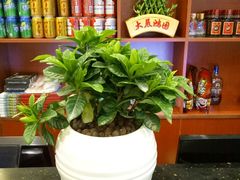 -布吉佳兆业广场