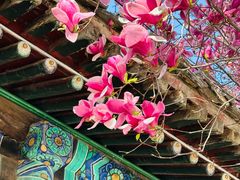 -潭柘寺景区