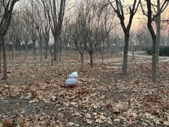 -东疆建设开发纪念公园