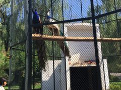 picture-月亮河温泉度假酒店