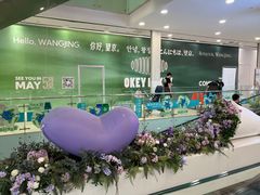 -凯德MALL(望京店)