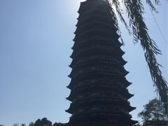 -听松楼·花园酒店·自助餐厅(红梅公园店)